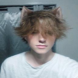 notxfurry